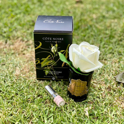 Cote Noire Perfumed Flower Natural Touch Rose Bud - Lillianna Gifts Australia