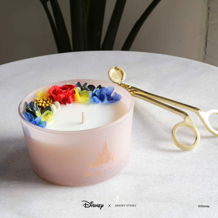 DISNEY CANDLE BELLE & BEAST - Lillianna Gifts Australia