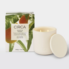 300g candle