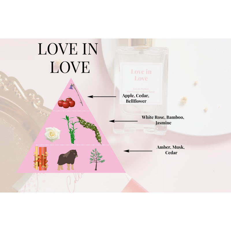 Love in Love Perfume - Lillianna Gifts Australia