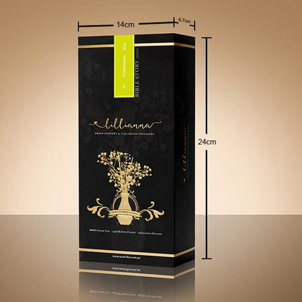 Lemongrass & Edelweiss Liquidless Diffuser Size S - Lillianna Gifts Australia