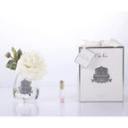 Clear Glass Ivory White