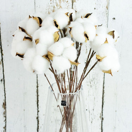 Natural Dried Cotton Flower - Lillianna Gifts Australia