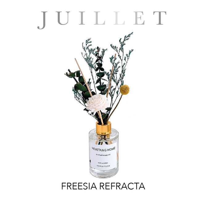 Freesia Refracta Juillet - Lillianna Gifts Australia