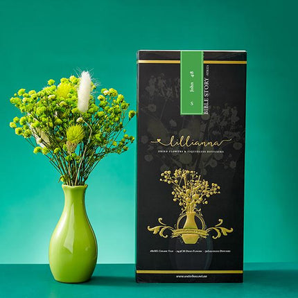 Matcha and Vanilla Liquidless Diffuser Size S - Lillianna Gifts Australia