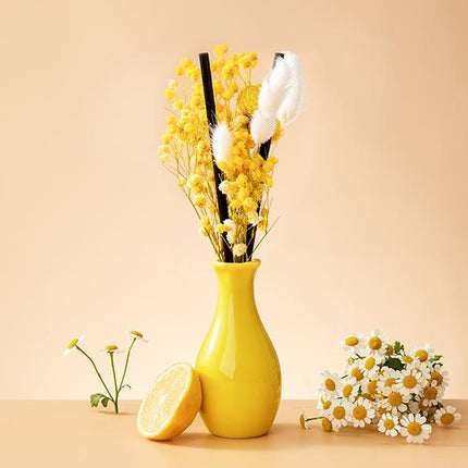 Lemongrass & Edelweiss Liquidless Diffuser Size S - Lillianna Gifts Australia
