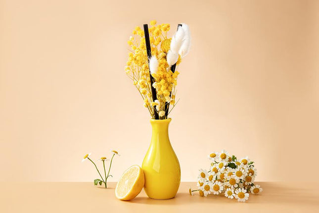 Lemongrass & Edelweiss Liquidless Diffuser Size S - Lillianna Gifts Australia