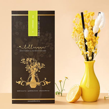 Lemongrass & Edelweiss Liquidless Diffuser Size S - Lillianna Gifts Australia