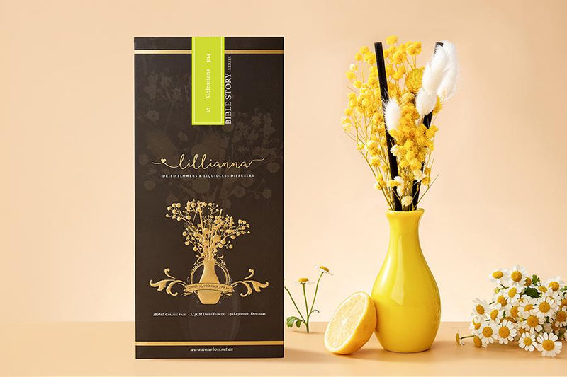 Lemongrass & Edelweiss Liquidless Diffuser Size S - Lillianna Gifts Australia