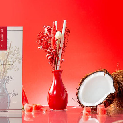 Watermelon and Coconut Liquidless Diffuser Size S - Lillianna Gifts Australia