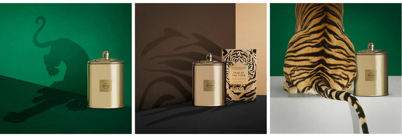 Glasshouse Candle Eye of the Tiger - Lillianna Gifts Australia