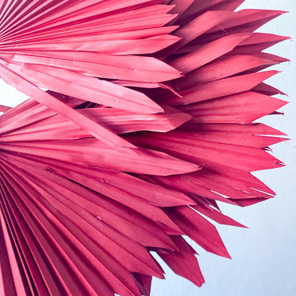 Dried Sun Palm Leaves / Red ( Burgundy ) - Lillianna Gifts Australia